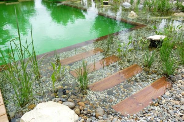 Paints and resins for biological and ecological pools